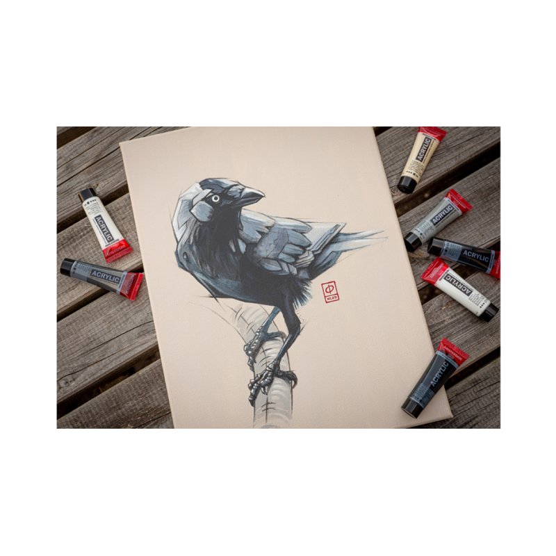 Royal Talens Amsterdam acrylic paint Greys set, black-white-grey