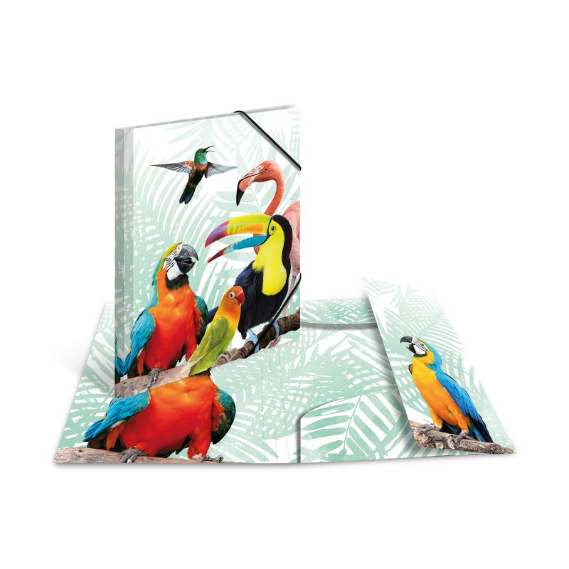 HERMA chemise élastique animaux exotiques amis girafe, A3, matériau PP
