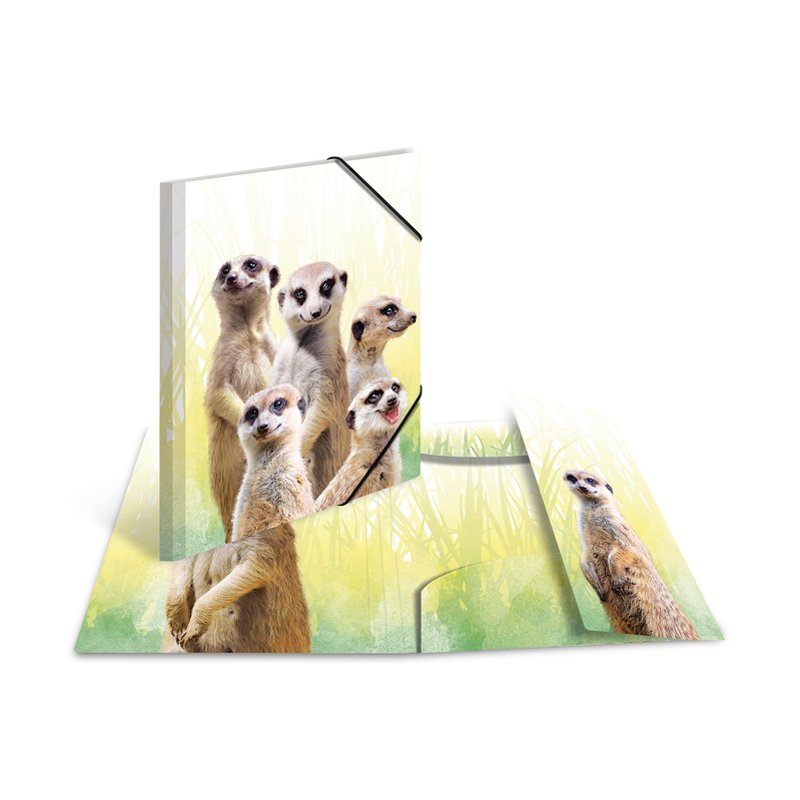 HERMA chemise élastique animaux exotiques amis girafe, A3, matériau PP
