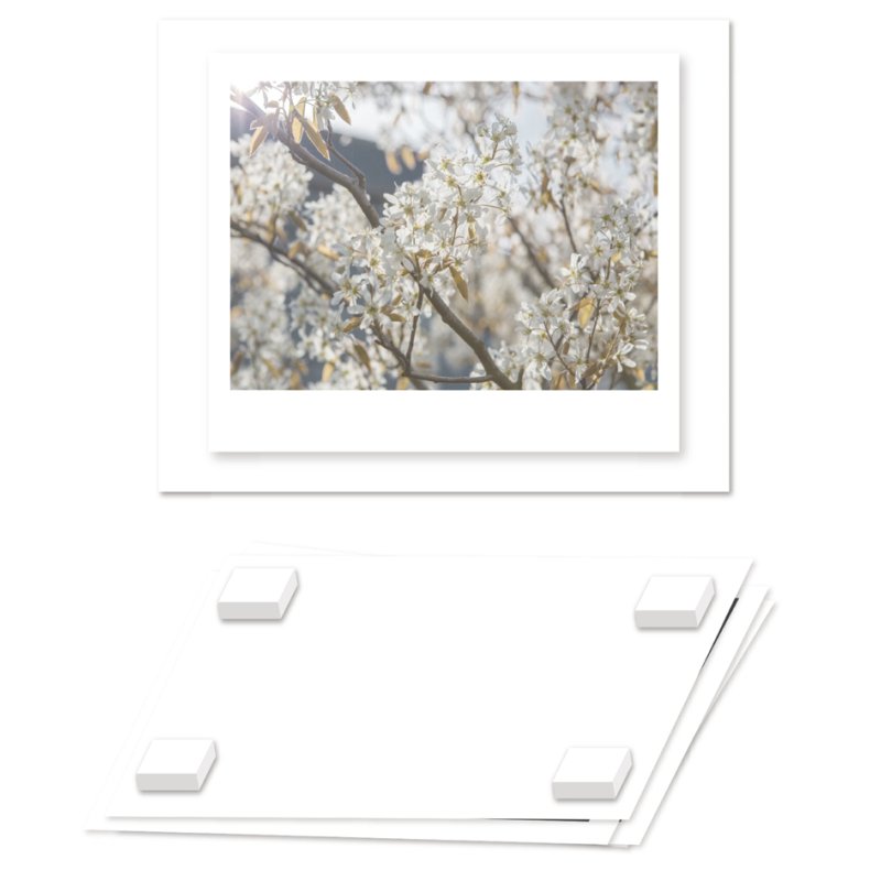 transotype X-Press It mounting foam adhesive squares, white, double-sided, 6 mm, 576 pieces