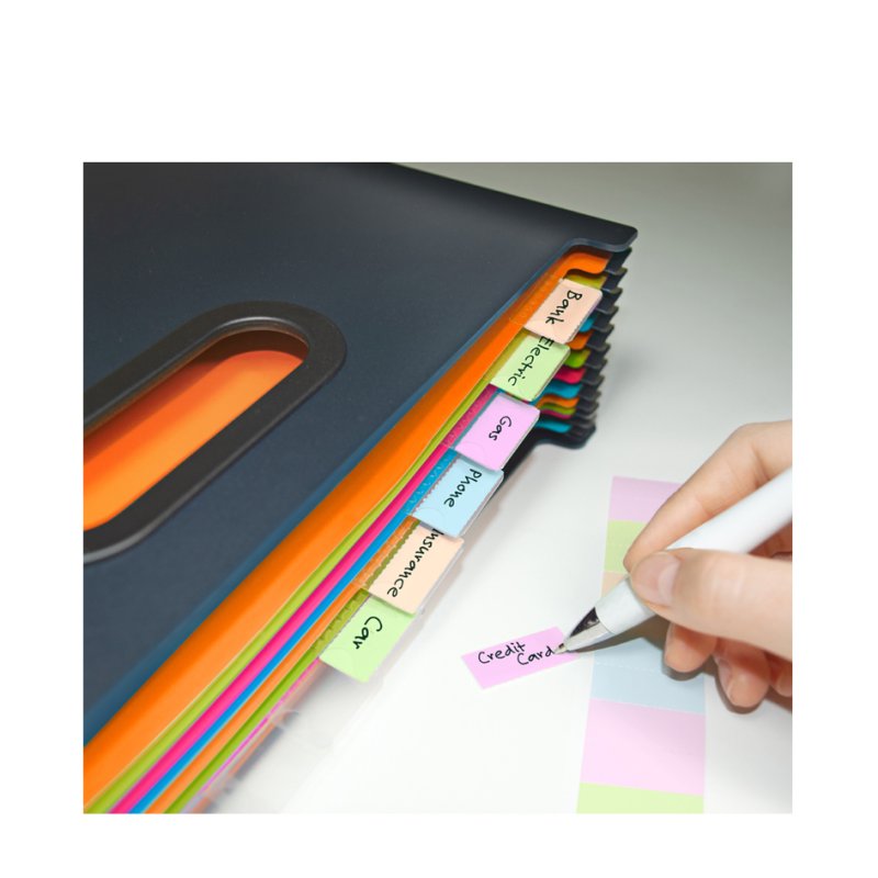 RAPESCO expanding document folder A4+, 13 compartments, black