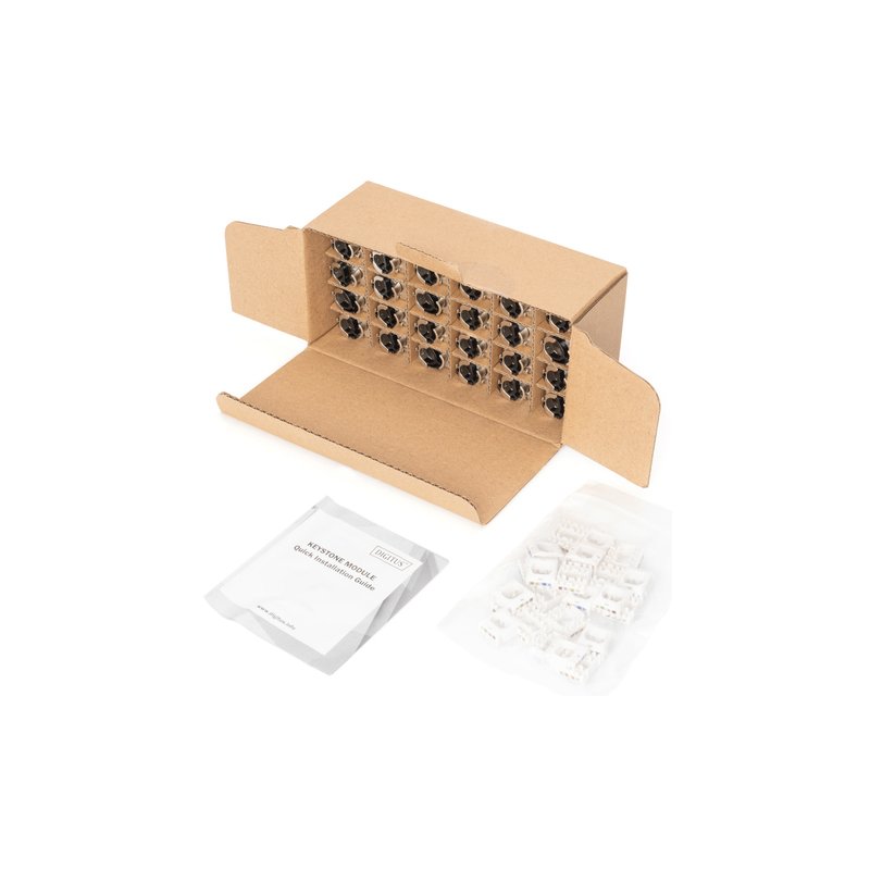 DIGITUS Module Keystone Cat6A, blindée, nickelée, 24 pièces