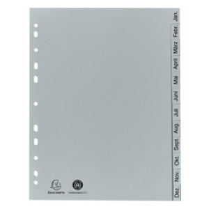EXACOMPTA plastic maanddividers A4, grijs, 12-delig, recycling-PP