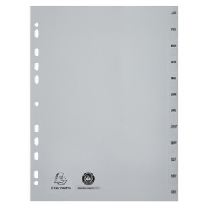 EXACOMPTA plastic indextabs, januari-december, A4, grijs