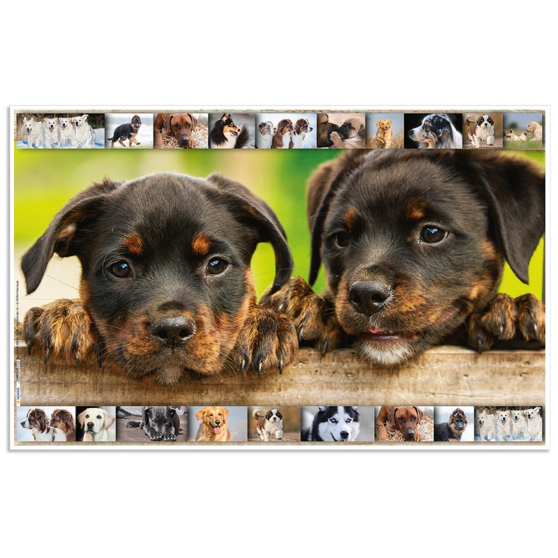 HERMA Sous-main Chiens, 550×350 mm, softtouch