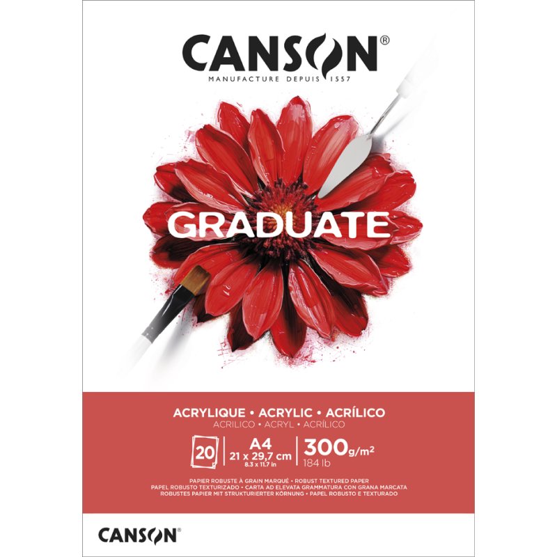 CANSON Graduate Acrylique papier à dessin, blanc naturel, 20 feuilles, 300 g/m², A4