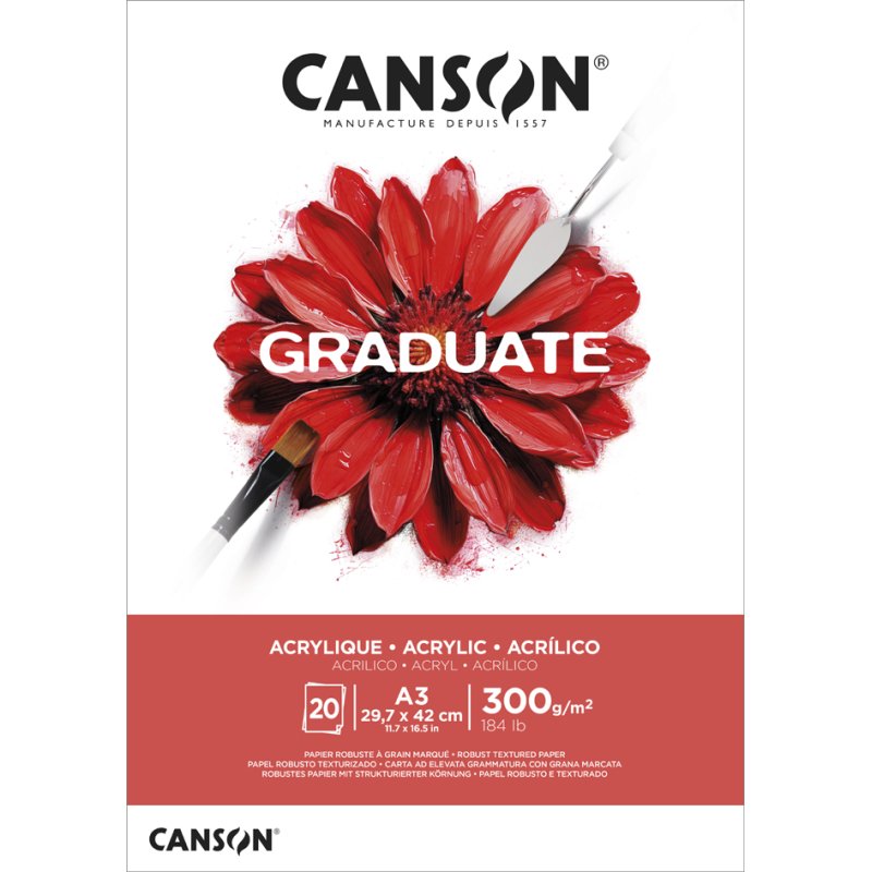 CANSON Graduate Acrylique papier à dessin, blanc naturel, 20 feuilles, 300 g/m², A4