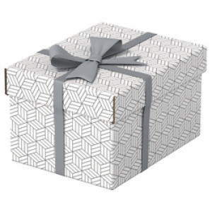 Esselte opbergdoos & geschenkdoos Home M, set van 3, grijs