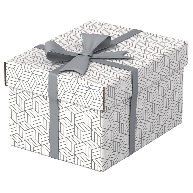 Esselte opbergdoos & geschenkdoos Home M, set van 3, grijs