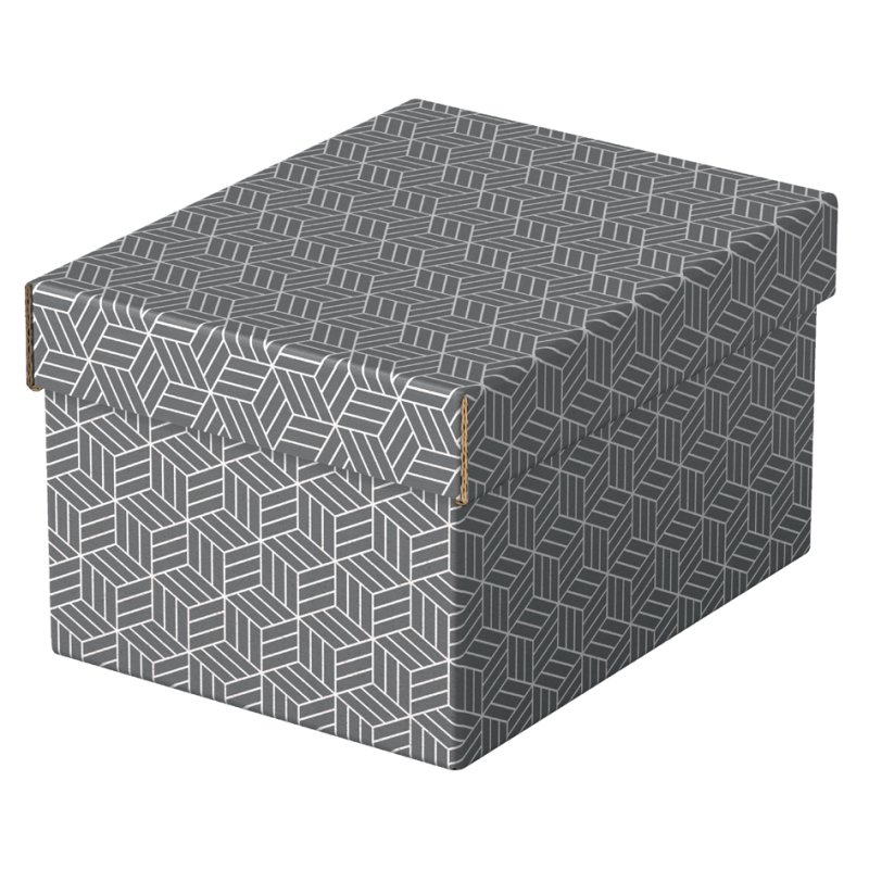Esselte opbergdoos & geschenkdoos Home M, set van 3, grijs