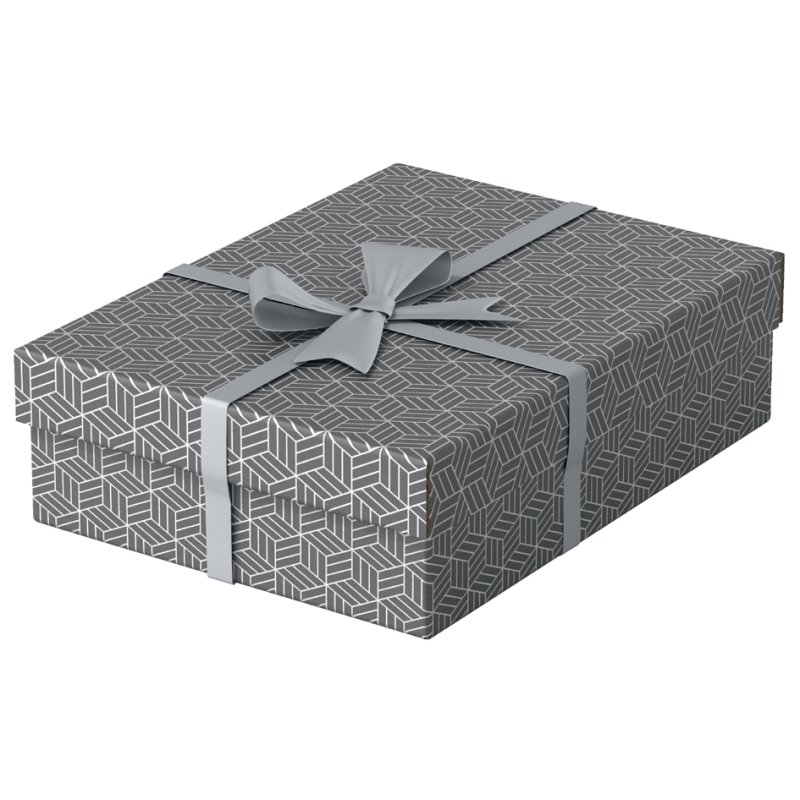 Esselte opbergdoos & geschenkdoos Home M, set van 3, grijs