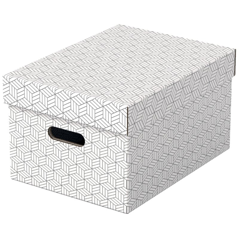 Esselte opbergdozen Home M, grijs, set van 3
