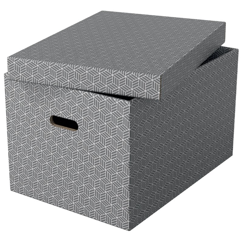 Esselte opbergdozen Home M, grijs, set van 3
