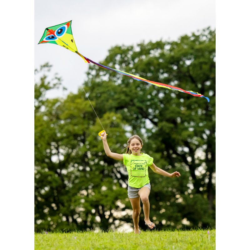 SCHILDKRÖT cerf-volant télécommandé Oiseau fou, 680×600 mm, 40 m de fil, polyester ripstop