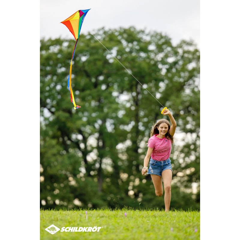 SCHILDKRÖT cerf-volant télécommandé Oiseau fou, 680×600 mm, 40 m de fil, polyester ripstop