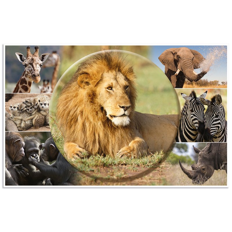 HERMA Sous-main Afrique Animaux, 550×350 mm, softtouch