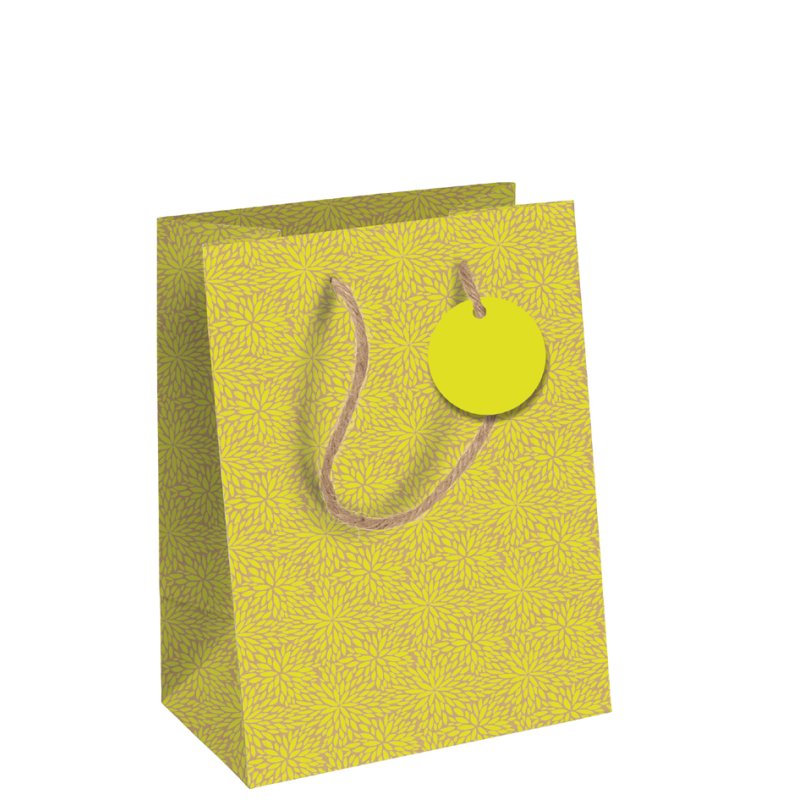 Clairefontaine sac cadeau néon grand, carton kraft 210 g/m², 373×118×275 mm