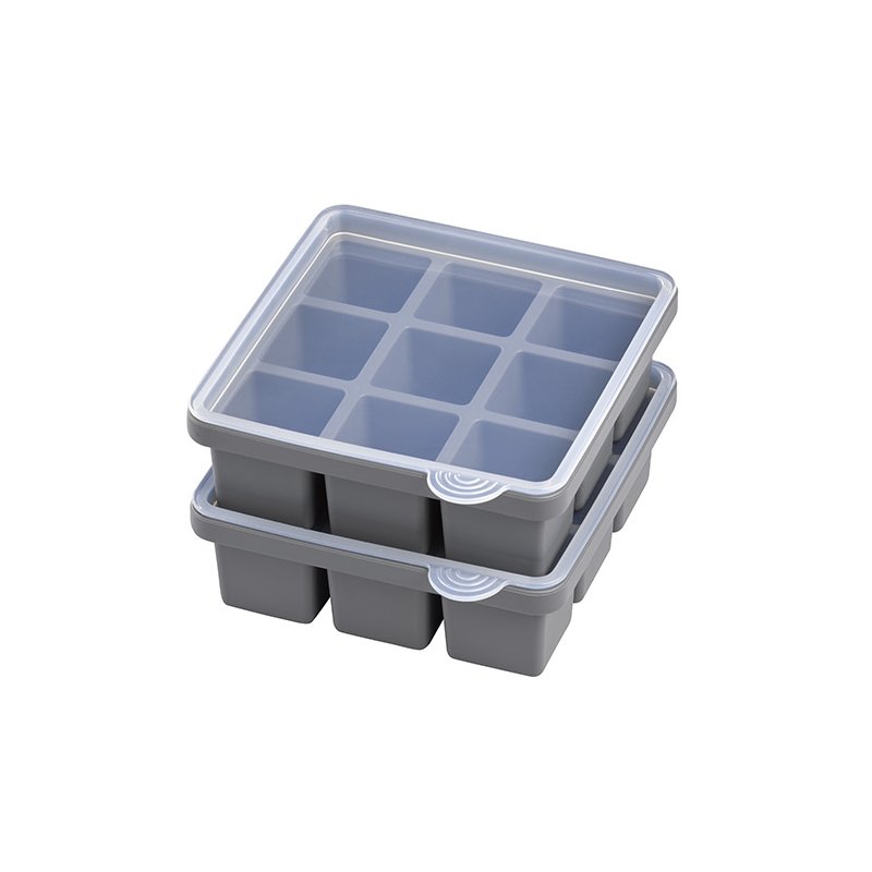 APS bac à glaçons avec couvercle, transparent/gris, lot de 2