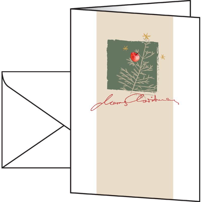 sigel Carte de vœux Christmas with apples, A6, 10 cartes + 10 enveloppes