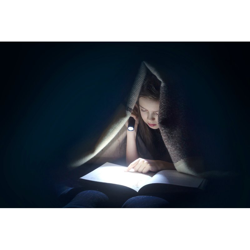 ANSMANN Lampe de poche LED Daily Use 150B, argent/noir, 150 lumens