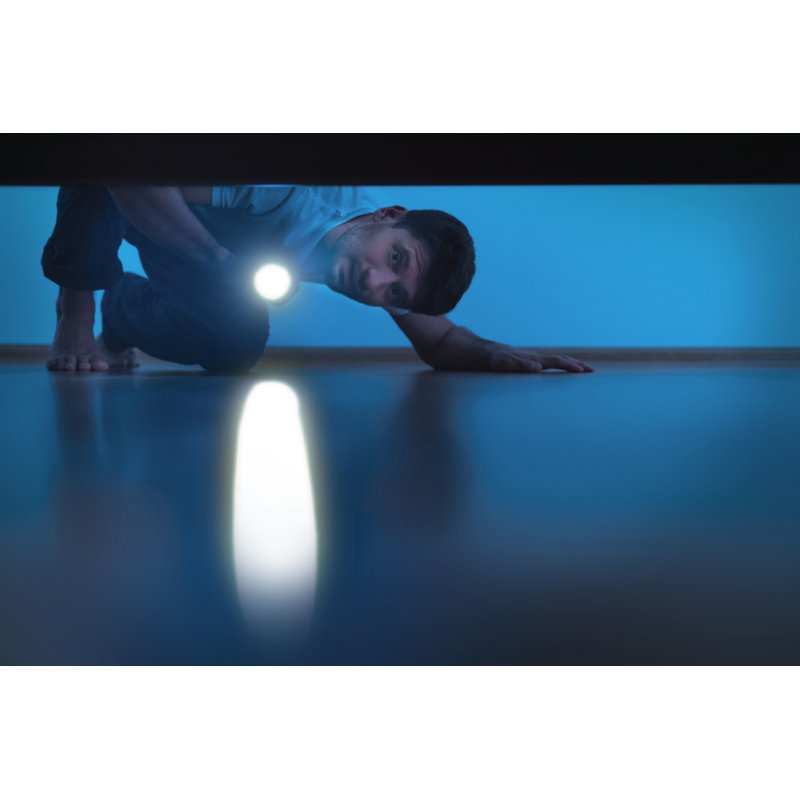 ANSMANN Lampe de poche LED Daily Use 150B, argent/noir, 150 lumens