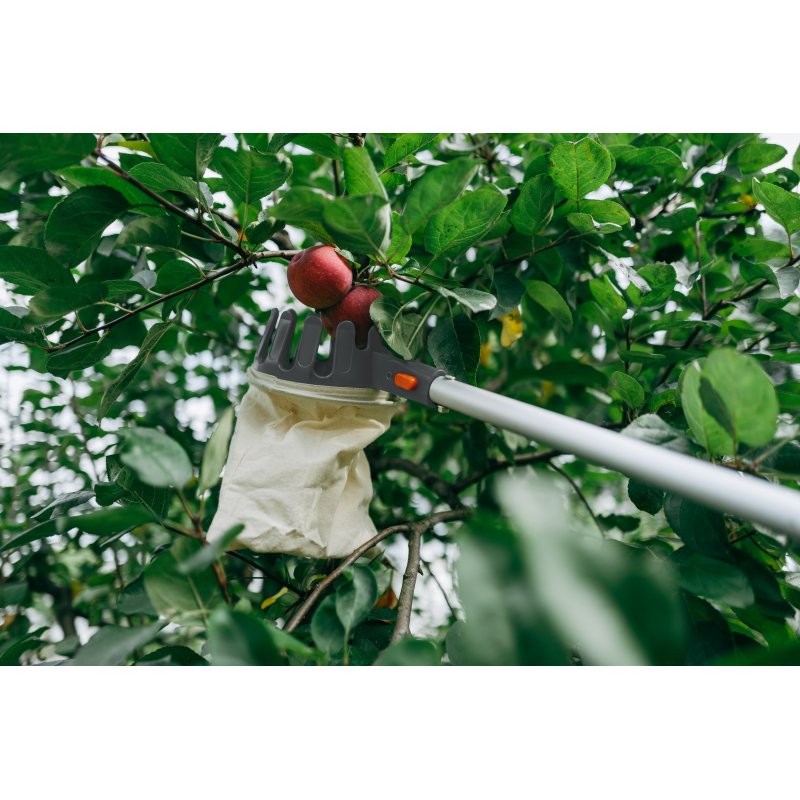 Bradas cueilleur de fruits avec manche télescopique, argent/orange, 1,50-3,75 m