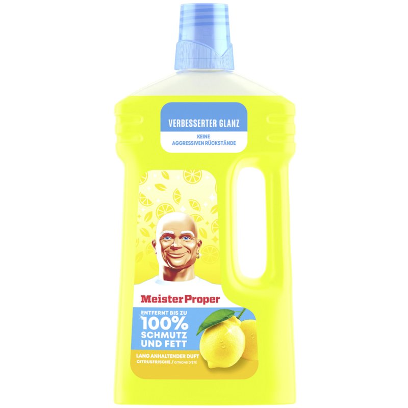Meister Proper nettoyant universel, parfum printemps, 1 litre