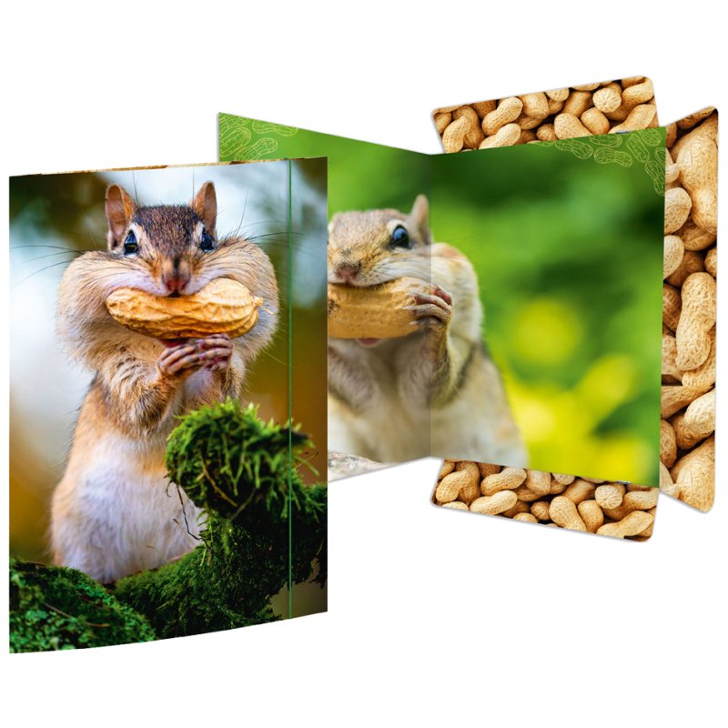 RNK Verlag Chemise à dessins Chipmunk, A3, 3 rabats, fermeture par élastique