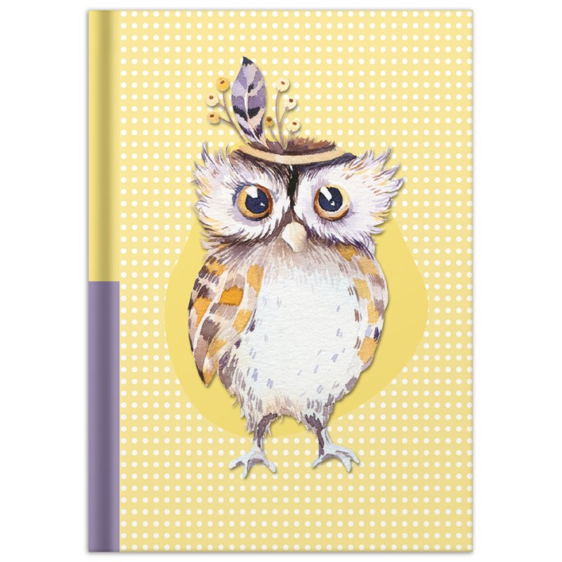 RNK carnet de notes Hibou, A5, pointillé, 96 feuilles