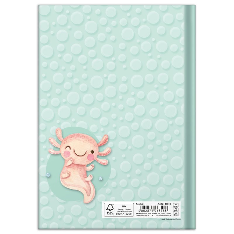 RNK carnet de notes Hibou, A5, pointillé, 96 feuilles