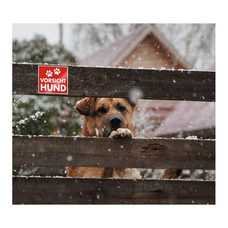 HERMA autocollants d'avertissement Attention chien, rouge/blanc, film mat, résistant aux intempéries, 2 pièces