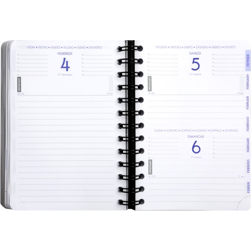 EXACOMPTA agenda Forum Linicolor 2026/2027, bleu, 120 × 170 mm, 1 jour par page