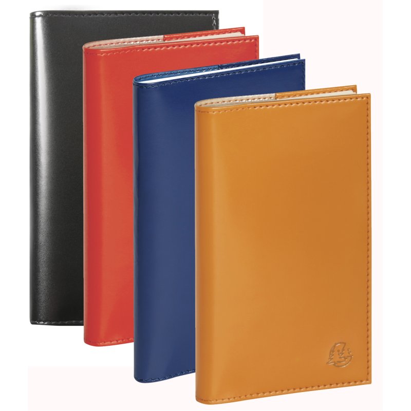 EXACOMPTA zakagenda SAD 16S VERONE, 2025/2026, 90×160 mm, assorti 5 stuks