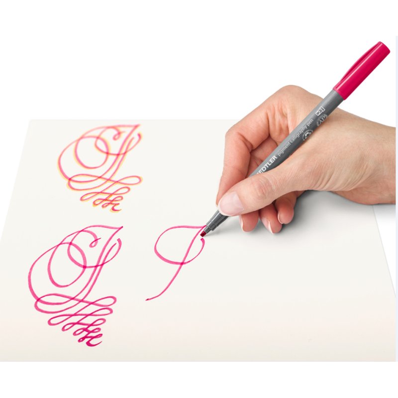 STAEDTLER marqueur calligraphie pointe fine, 2 mm, permanent, 12 pièces