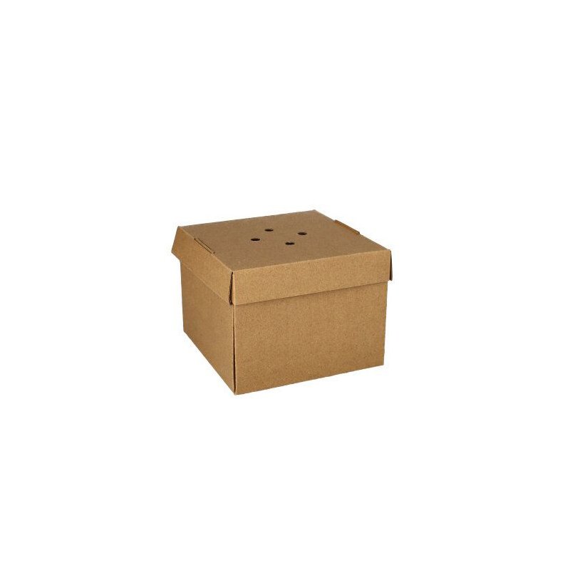 PAPSTAR boîte burger pliable, kraft, 130×130×100 mm, 20 pièces