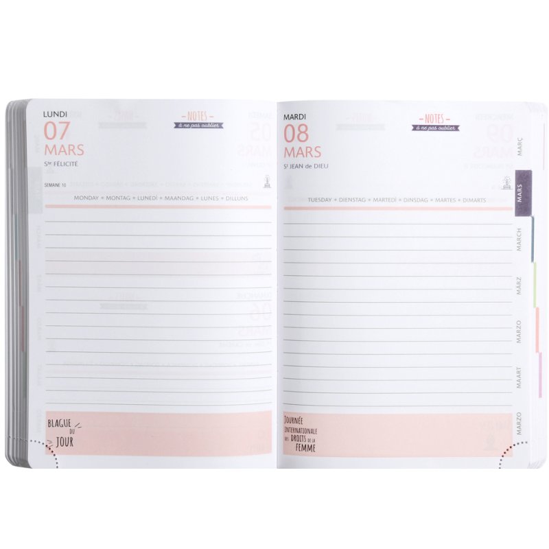 EXACOMPTA agenda scolaire SOFT HARMONY 2025/2026, 120×170 mm, teintes pastel assorties, 12 pcs