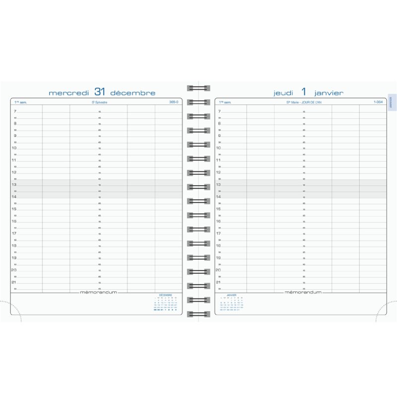 EXACOMPTA agenda La journée planifiée, 185 x 225 mm, spirale, 3 pièces
