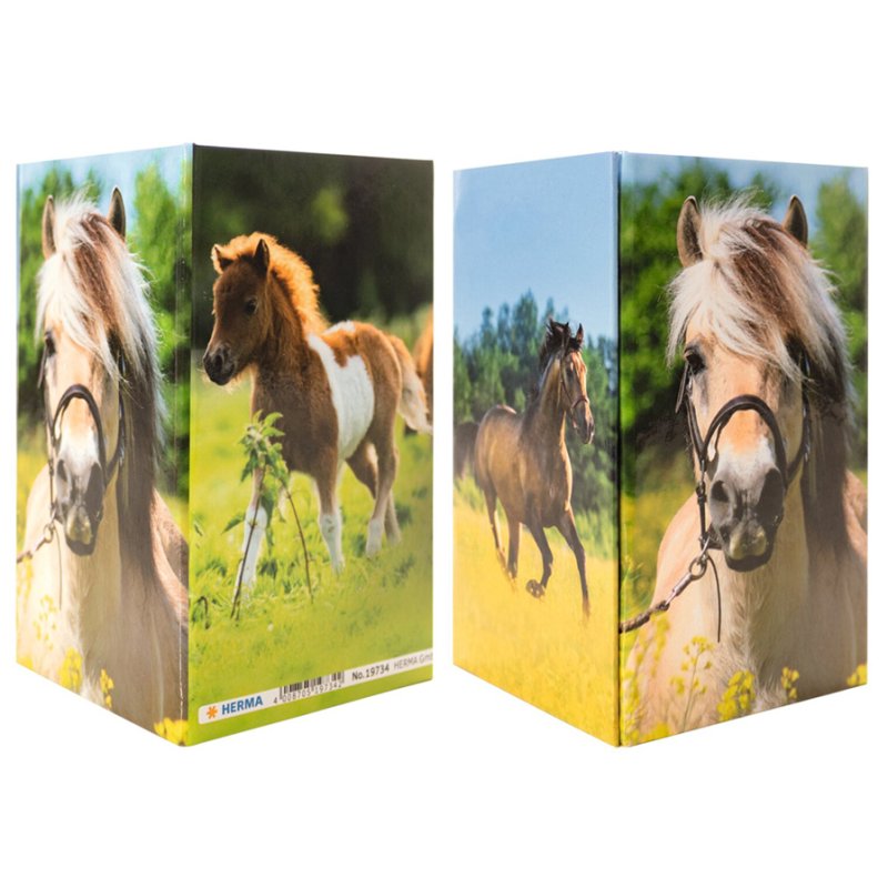 HERMA porte-stylos Pferdewiese, carton, 220×230×315 mm