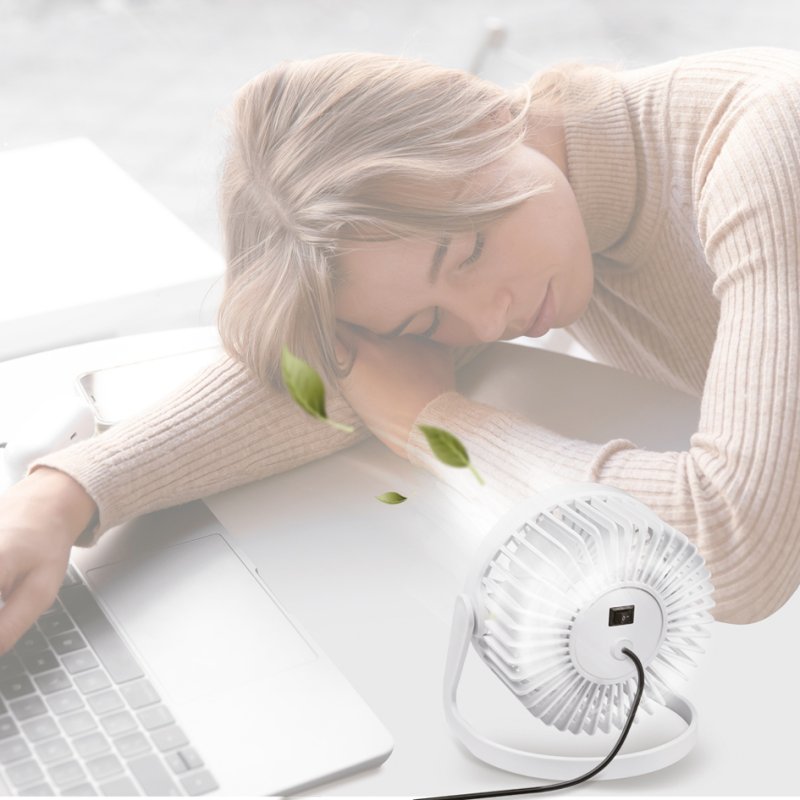 LogiLink Ventilateur de Bureau USB, blanc, 30 dB, 127 mm