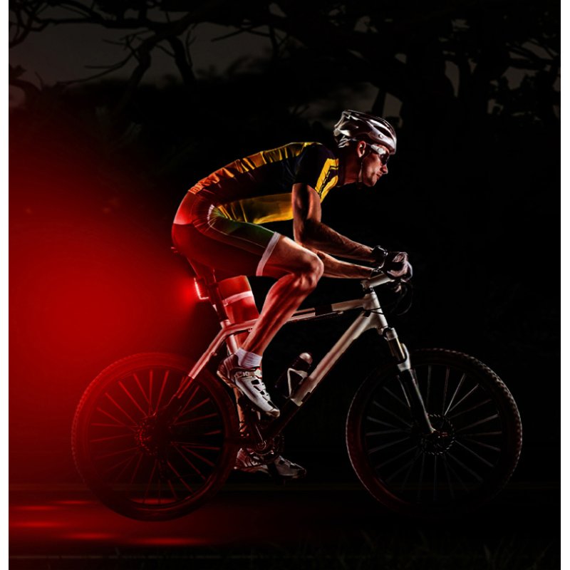 FISCHER feu arrière LED batterie vélo PLUS TWIN STOP, aluminium, rechargeable USB-C, IPX4