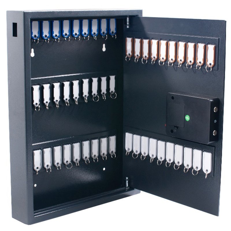 Pavo Armoire à clés High Security, sécurité électronique, 50 clés, gris foncé