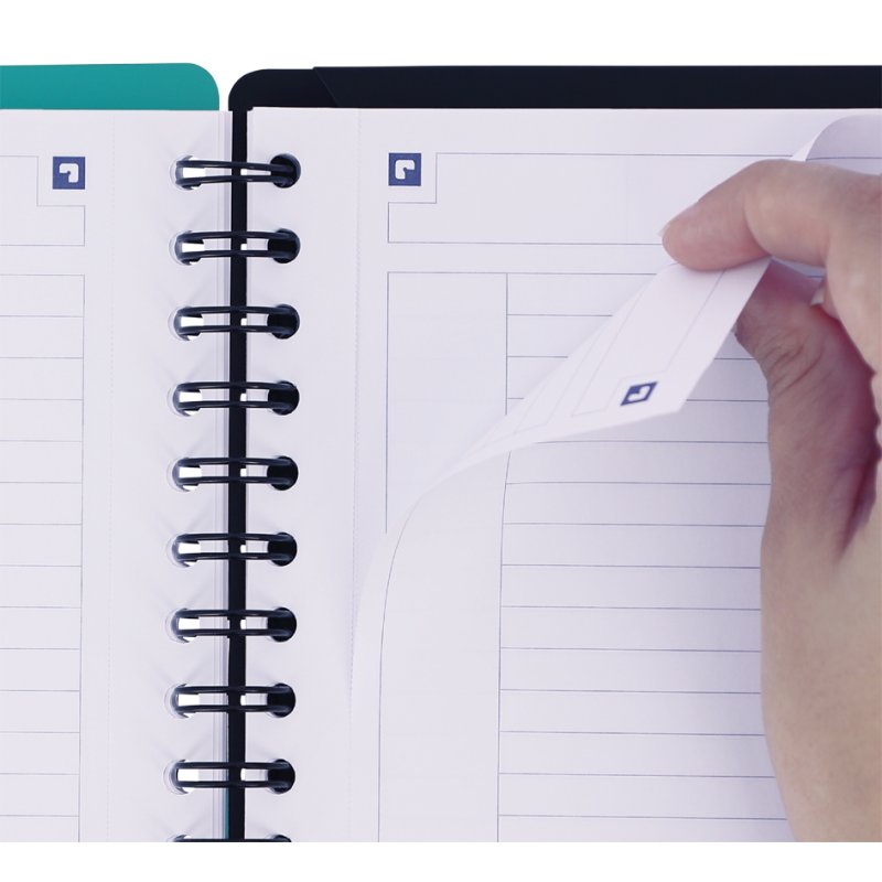 Oxford bloc-notes d'étude NOTEBOOK, B5, quadrillé, 80 feuillets