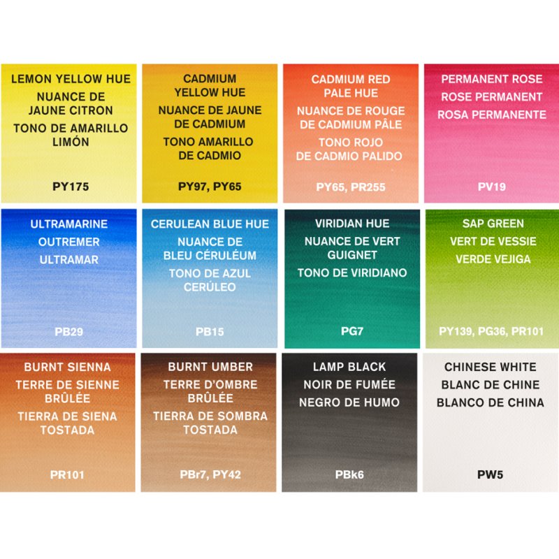 LEFRANC BOURGEOIS Winsor & Newton Cotman Field Plus ensemble aquarelle, 12 demi-godets, pinceau inclus