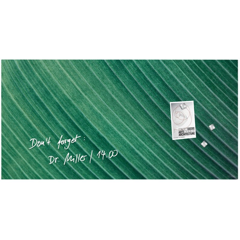 Sigel tableau magnétique en verre Artverum motif feuille de palmier, vert, 910×460 mm, mat