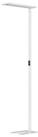 Hansa LED-staande lamp Larimar, zwart, hoogte 1997 mm, 58W