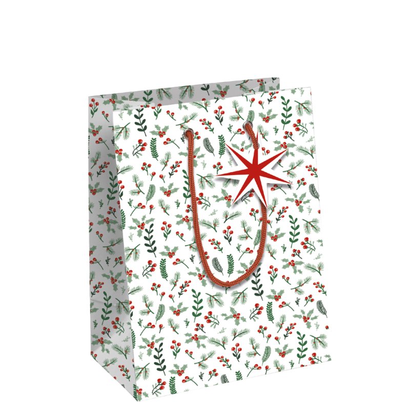 Clairefontaine sachet cadeau Cosy, papier kraft blanc 210 g/m², 265×140×330 mm