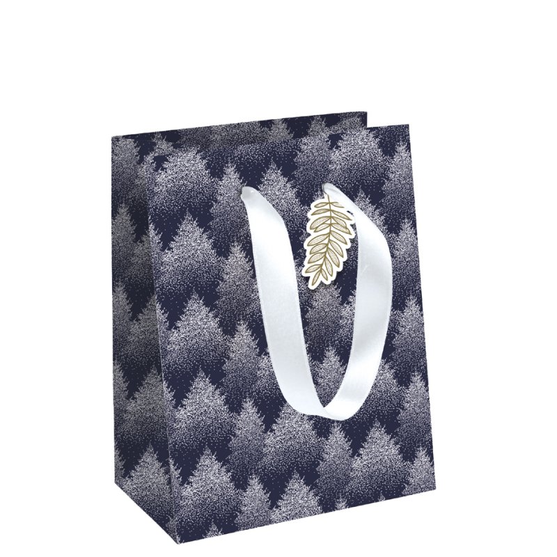 Clairefontaine sacs cadeaux Precious, grand, 373×118×275 mm, ruban satin