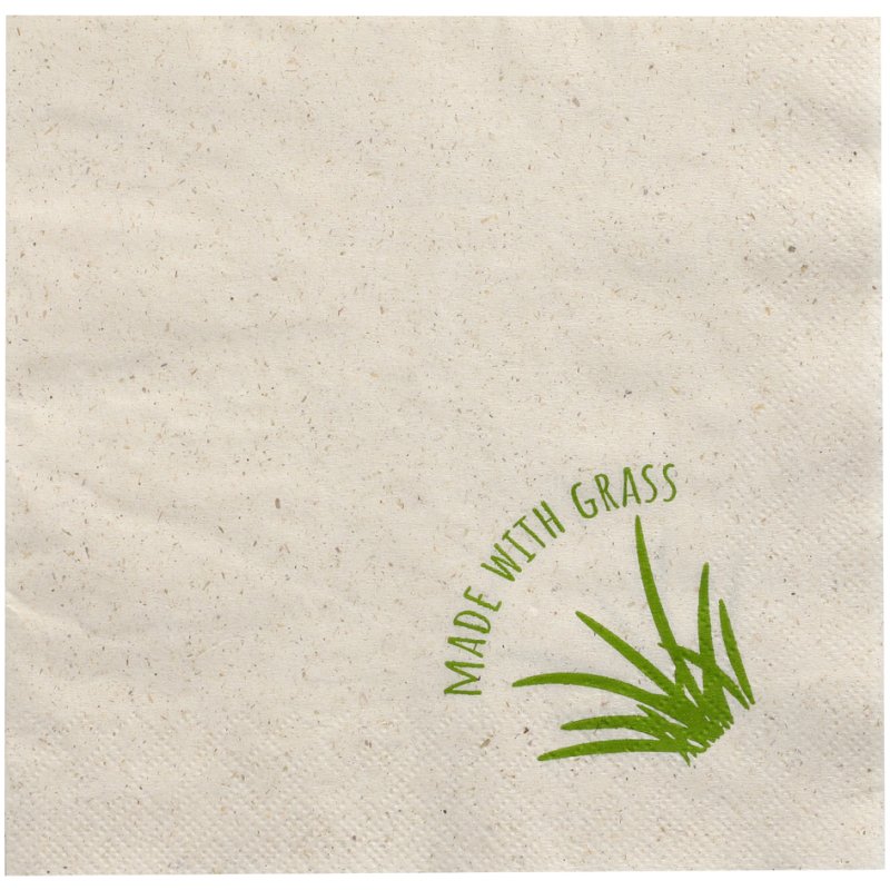 PAPSTAR serviettes de déjeuner, 33×33 cm, 2 plis, naturel, 250 pièces