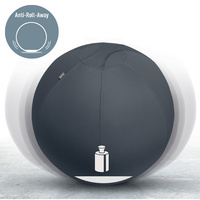 LEITZ zitbal Ergo Active, diameter 550 mm, lichtgrijs