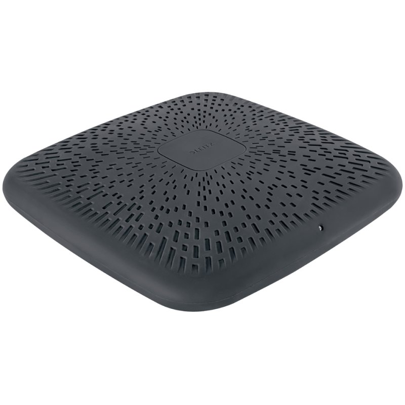 LEITZ coussin assis Ergo Active Balance, gonflable, velours gris